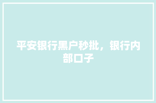平安银行黑户秒批，银行内部口子