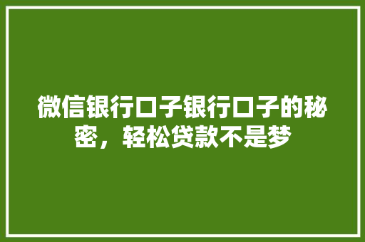 微信银行口子银行口子的秘密，轻松贷款不是梦