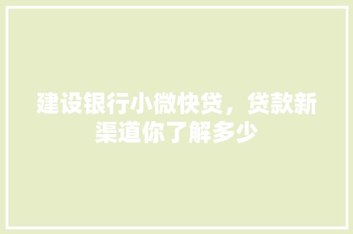 建设银行小微快贷，贷款新渠道你了解多少