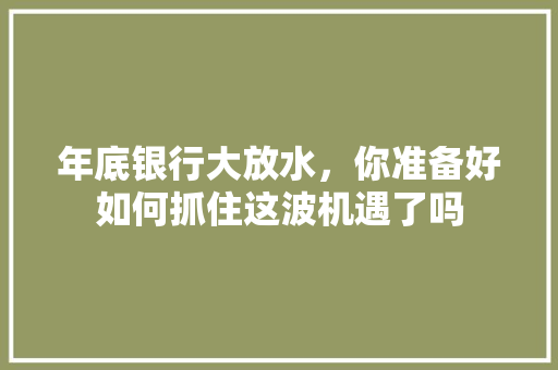 年底银行大放水，你准备好如何抓住这波机遇了吗