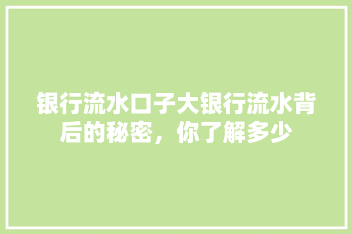 银行流水口子大银行流水背后的秘密，你了解多少