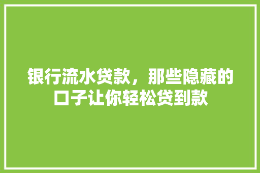 银行流水贷款，那些隐藏的口子让你轻松贷到款