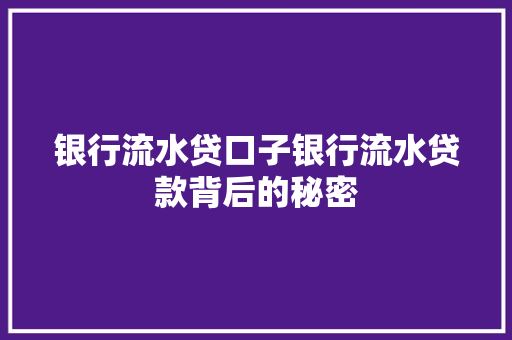 银行流水贷口子银行流水贷款背后的秘密