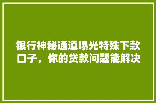 银行神秘通道曝光特殊下款口子，你的贷款问题能解决吗