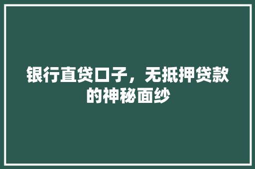 银行直贷口子，无抵押贷款的神秘面纱