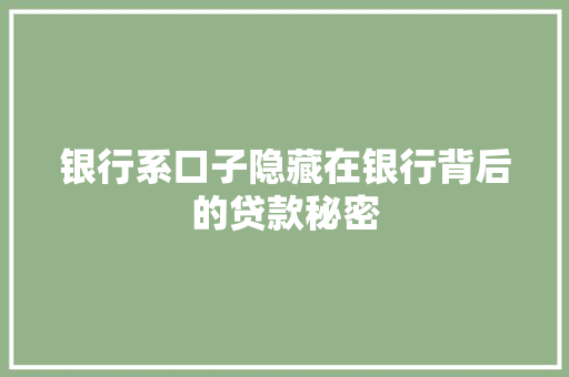 银行系口子隐藏在银行背后的贷款秘密