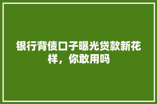 银行背债口子曝光贷款新花样，你敢用吗