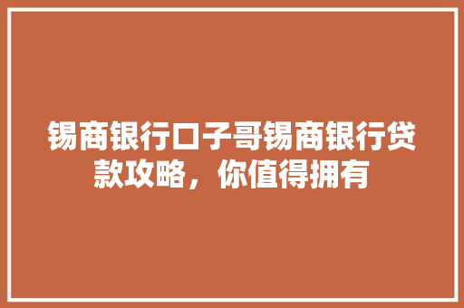 锡商银行口子哥锡商银行贷款攻略，你值得拥有