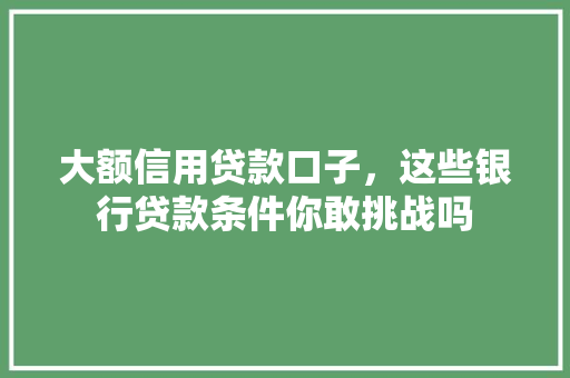大额信用贷款口子，这些银行贷款条件你敢挑战吗