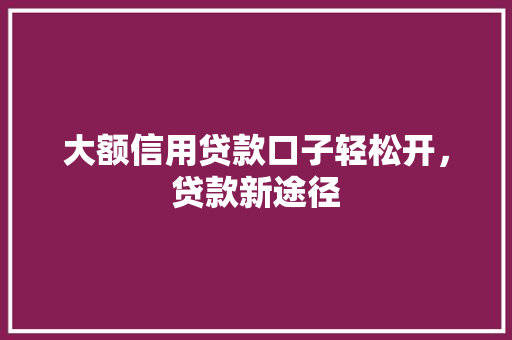 大额信用贷款口子轻松开，贷款新途径