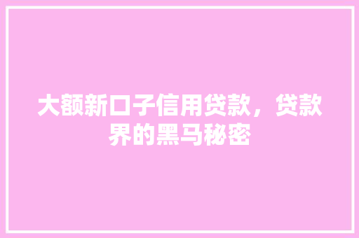 大额新口子信用贷款，贷款界的黑马秘密