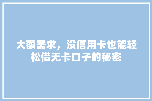 大额需求，没信用卡也能轻松借无卡口子的秘密