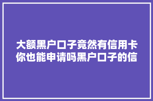 大额黑户口子竟然有信用卡你也能申请吗黑户口子的信用卡申请之路