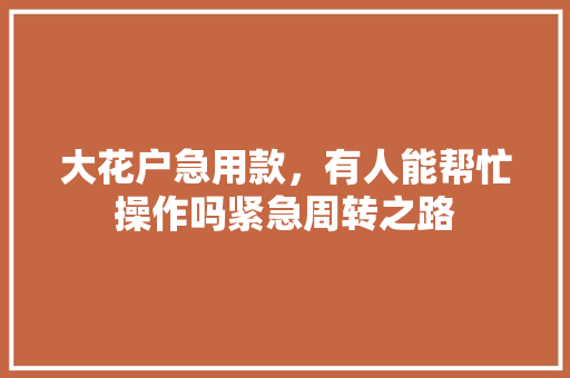 大花户急用款，有人能帮忙操作吗紧急周转之路
