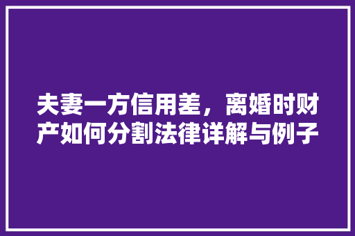 夫妻一方信用差，离婚时财产如何分割法律详解与例子分析