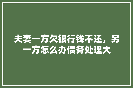 夫妻一方欠银行钱不还，另一方怎么办债务处理大