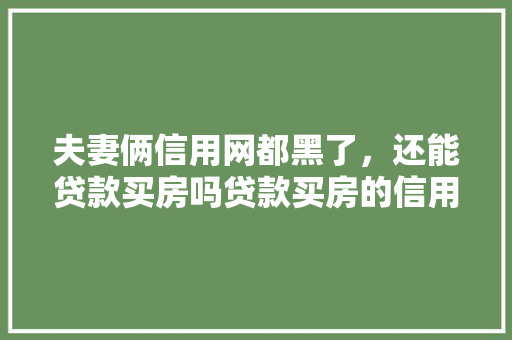 夫妻俩信用网都黑了，还能贷款买房吗贷款买房的信用之谜