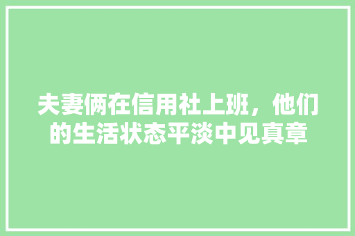 夫妻俩在信用社上班，他们的生活状态平淡中见真章