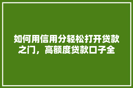 如何用信用分轻松打开贷款之门，高额度贷款口子全