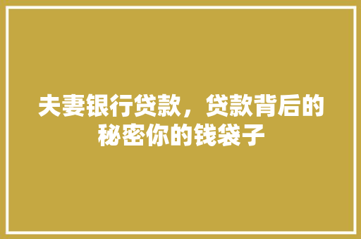 夫妻银行贷款，贷款背后的秘密你的钱袋子