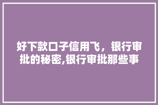 好下款口子信用飞，银行审批的秘密,银行审批那些事儿