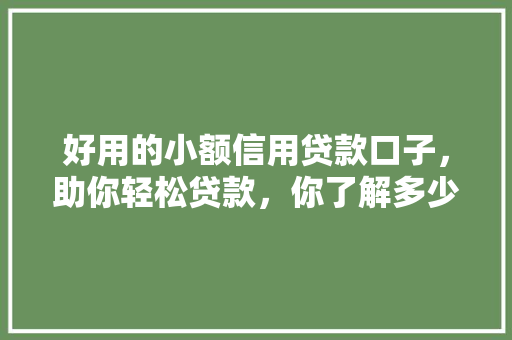 好用的小额信用贷款口子，助你轻松贷款，你了解多少