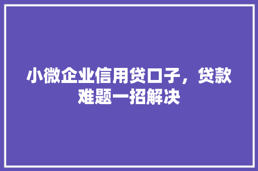 小微企业信用贷口子，贷款难题一招解决