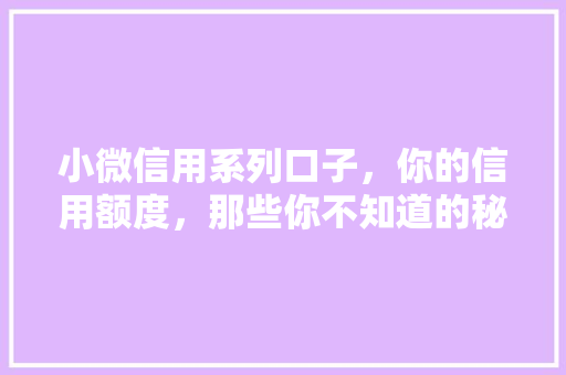 小微信用系列口子，你的信用额度，那些你不知道的秘密