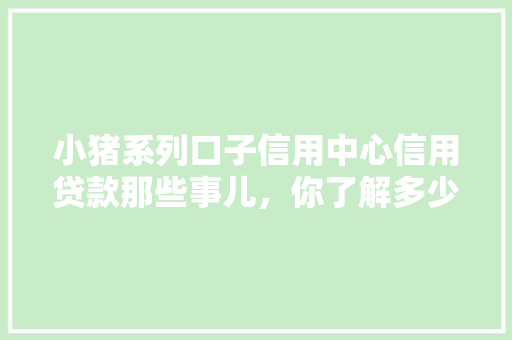 小猪系列口子信用中心信用贷款那些事儿，你了解多少