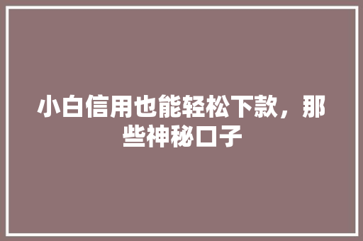 小白信用也能轻松下款，那些神秘口子