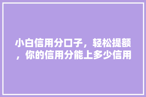 小白信用分口子，轻松提额，你的信用分能上多少信用分提升的秘密武器
