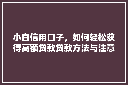 小白信用口子，如何轻松获得高额贷款贷款方法与注意事项