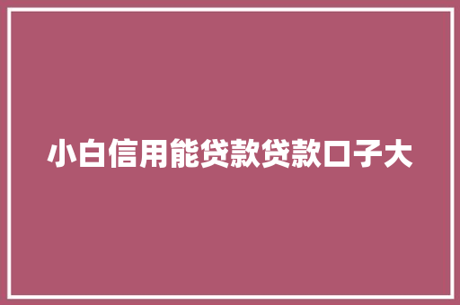 小白信用能贷款贷款口子大