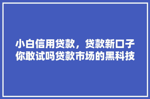 小白信用贷款，贷款新口子你敢试吗贷款市场的黑科技