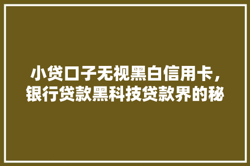 小贷口子无视黑白信用卡，银行贷款黑科技贷款界的秘密武器