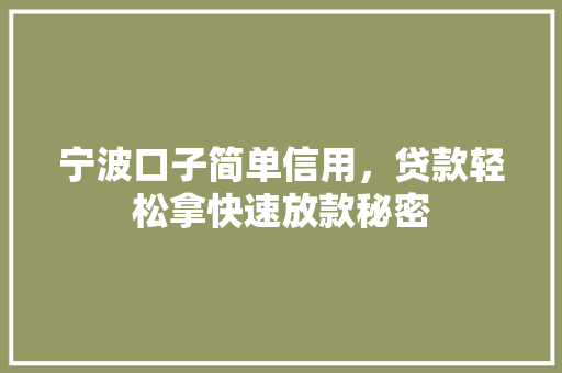 宁波口子简单信用，贷款轻松拿快速放款秘密