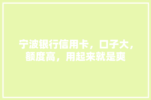 宁波银行信用卡，口子大，额度高，用起来就是爽