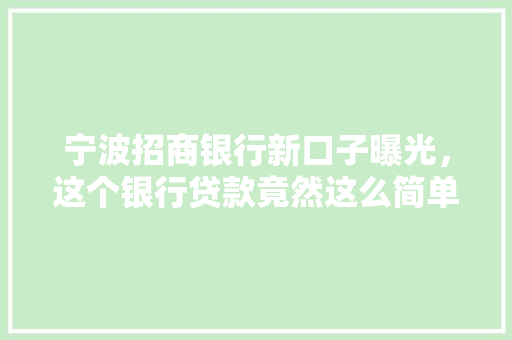 宁波招商银行新口子曝光，这个银行贷款竟然这么简单快来了解