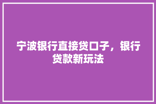 宁波银行直接贷口子，银行贷款新玩法