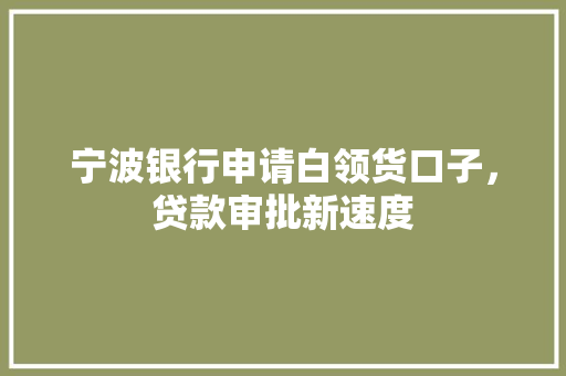 宁波银行申请白领货口子，贷款审批新速度