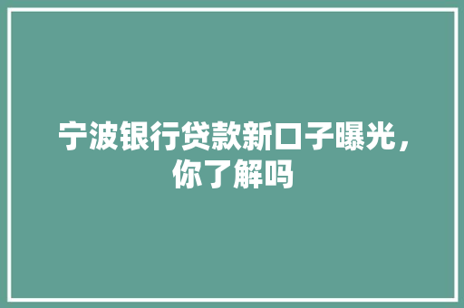 宁波银行贷款新口子曝光，你了解吗