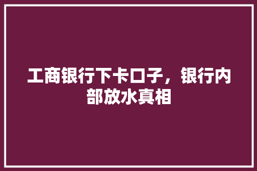 工商银行下卡口子，银行内部放水真相