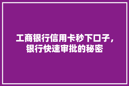 工商银行信用卡秒下口子，银行快速审批的秘密