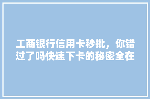 工商银行信用卡秒批，你错过了吗快速下卡的秘密全在这里
