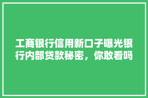 工商银行信用新口子曝光银行内部贷款秘密，你敢看吗