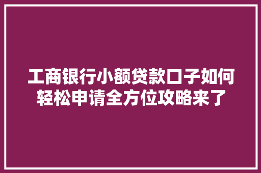 工商银行小额贷款口子如何轻松申请全方位攻略来了