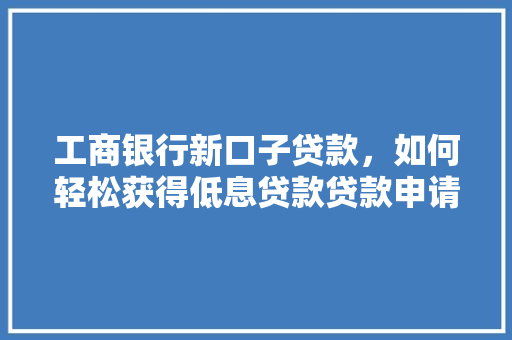 工商银行新口子贷款，如何轻松获得低息贷款贷款申请全攻略