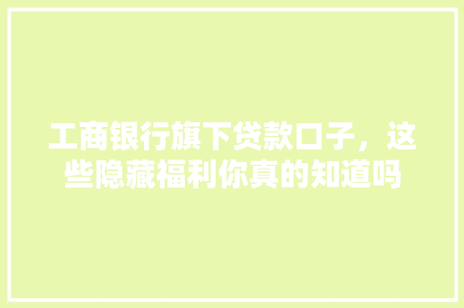 工商银行旗下贷款口子，这些隐藏福利你真的知道吗