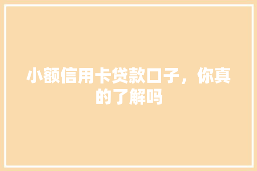 小额信用卡贷款口子，你真的了解吗