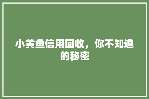 小黄鱼信用回收，你不知道的秘密